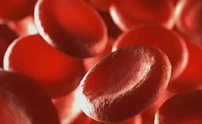 Como prevenir a anemia?