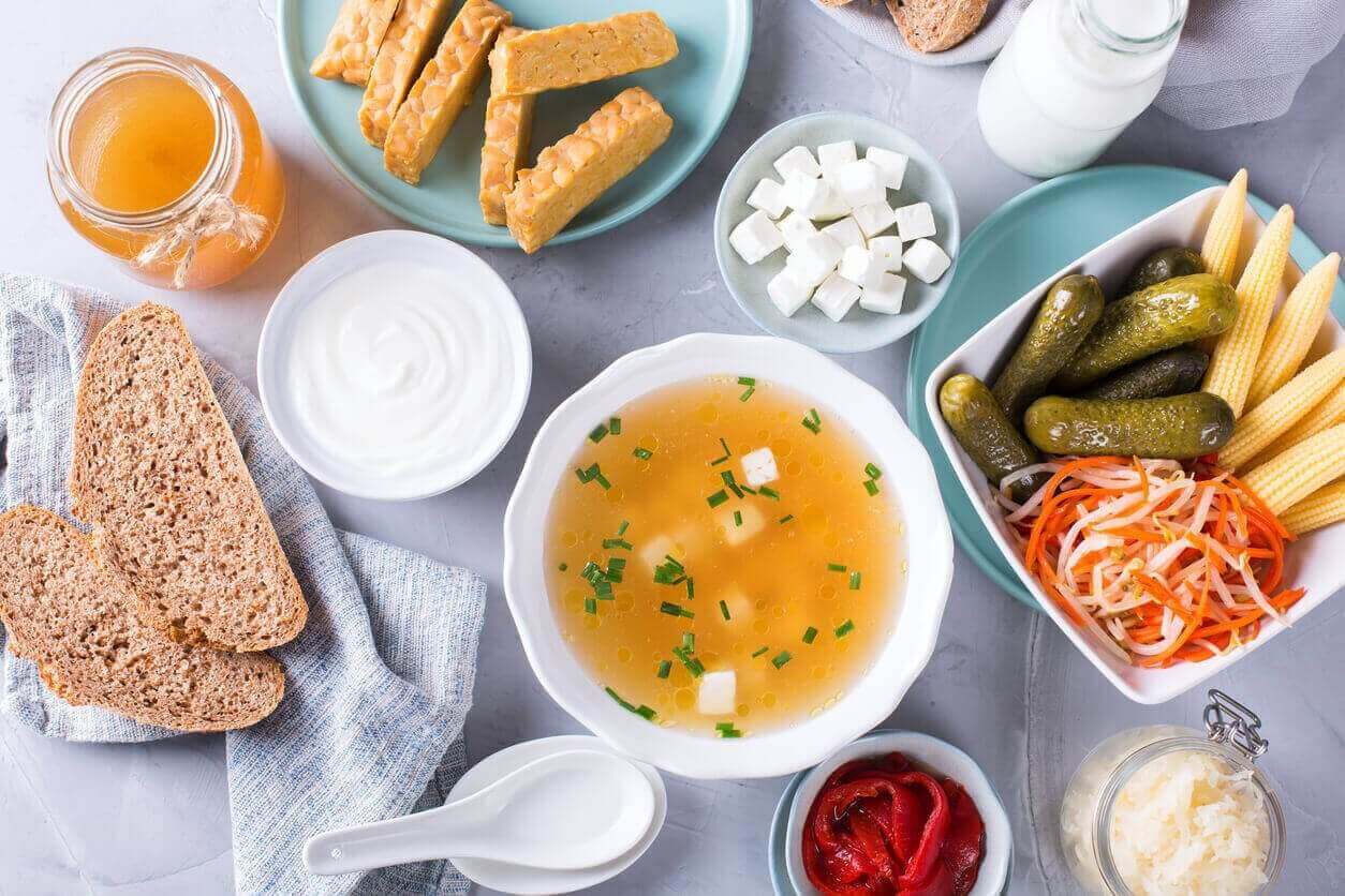 Como incluir alimentos probióticos na dieta?