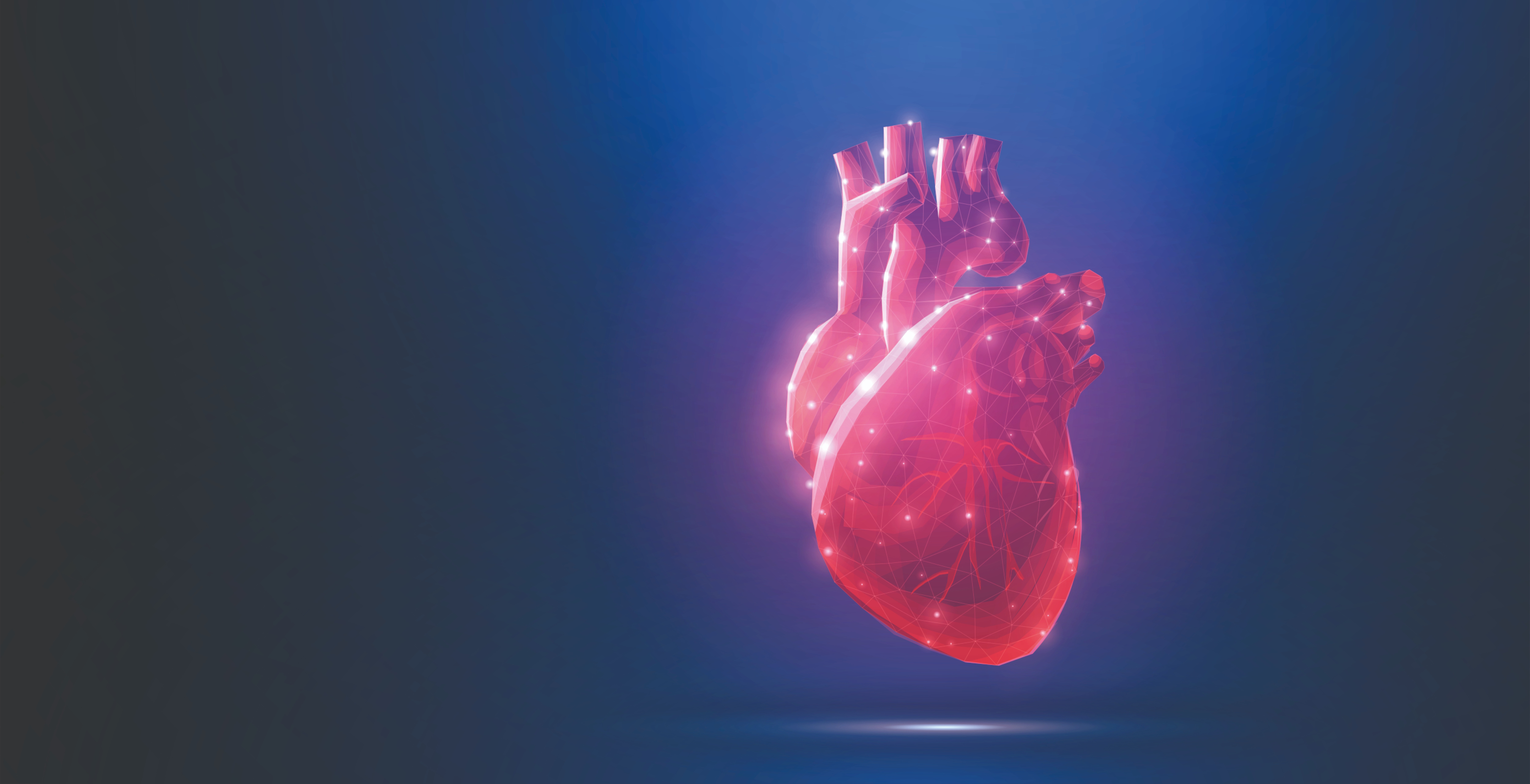Imagem de coração representando a expansão da Cellera Farma para a franquia cardiometabólica